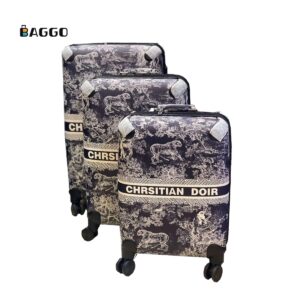 Leather Luggage Crisitian Dior